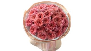 Bukiet X-pression Velvet