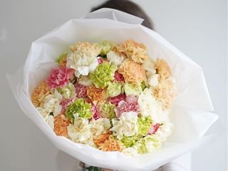 Carnation Mix L Size