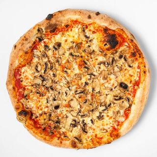 Pizza Funghi