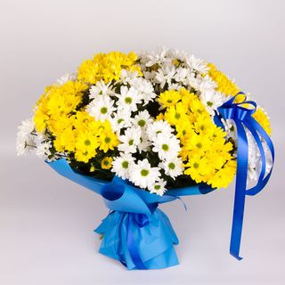 Margaretkowy mix duży