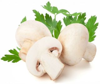 Печериці (40г)