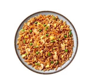 Arroz frito especial