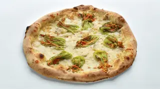 Fiori di zucca