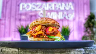Piripiri świnia