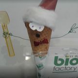 Cucuruchos (10 uds.)