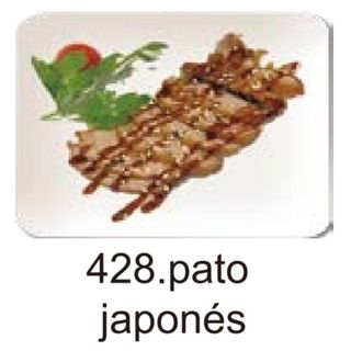428.pato japonés.