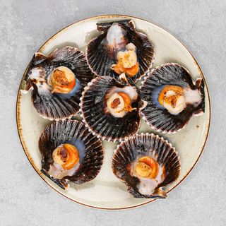 Zamburiñas (6 Uds.)