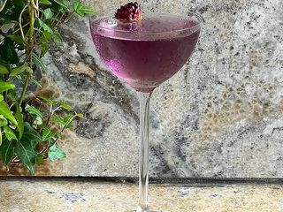 Gin Gimlet Champagne (90мл)
