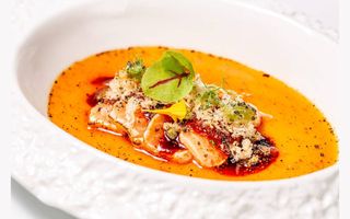 Tataki salmon premium