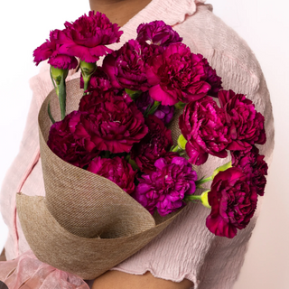 Bukiet 15 fioletowych Goździków  