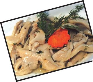 სოკოს მარინადი