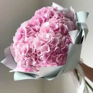 Buchet din 5 Hortensii Roz