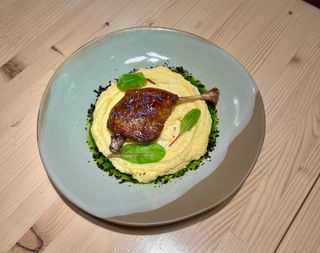 Качина ніжка з баношем та карпатською бринзою (160/180/10 г)