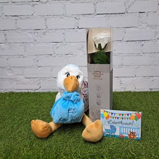 "llego la cigüeña"