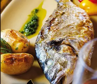 Dorada