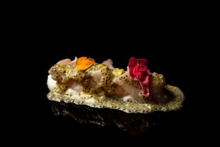 103. Carpaccio Blanco Chía