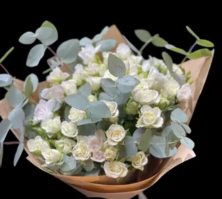 Elegant White 