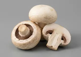  Грибы шампиньоны