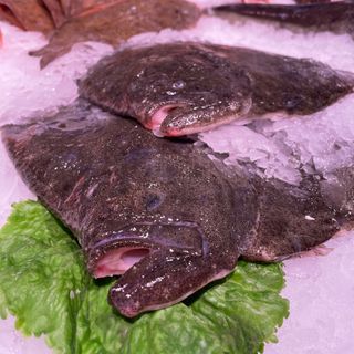 Rodaballo (1.3-1.5kg)