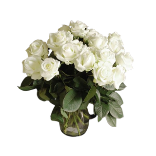 Róża biała średnia 15 szt.