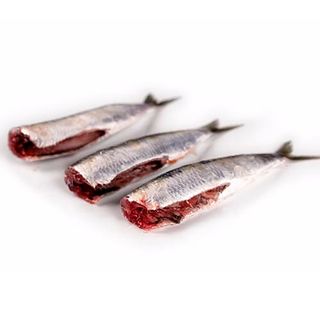 Sardinas Limpias Enteras  Kg.