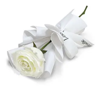 Fleur Blanc Individuelle Fêtes Des Mères