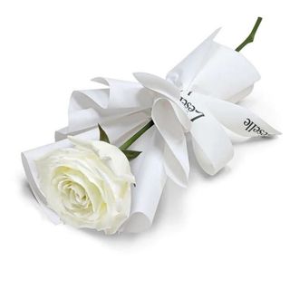 Fleur Blanc Individuelle Fêtes Des Mères