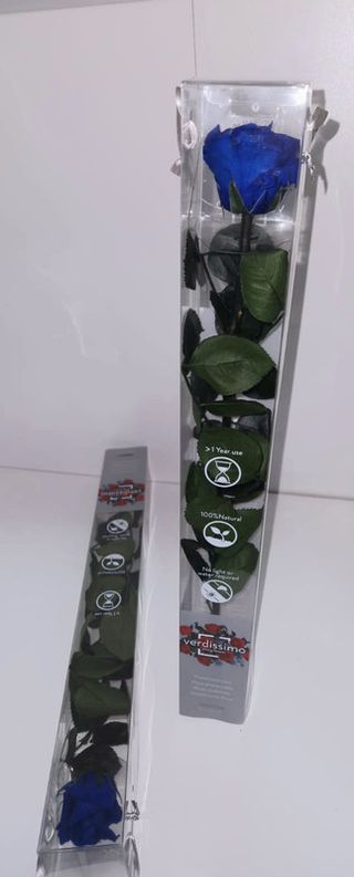 Trandafir Criogenat Albastru La Fir