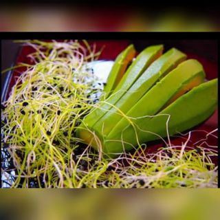 Авокадо Сашими 5бр (100г)