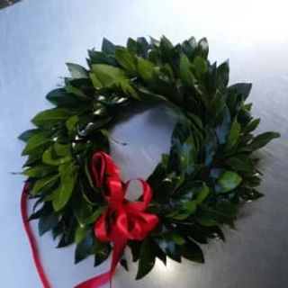 Corona di laurea Roma