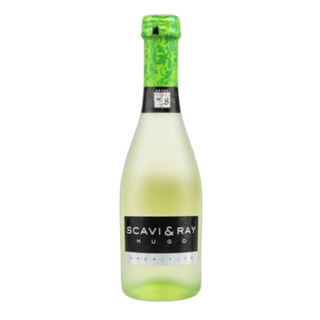 SCAVI&RAY HUGO 
