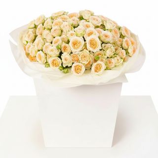 Композиція"Cream infinity"