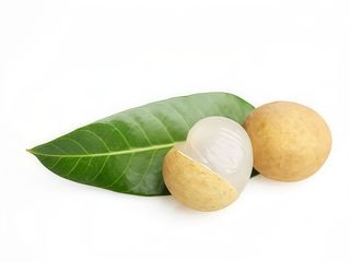 Macedonia Occhi di Drago