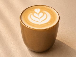Capuccino Large
