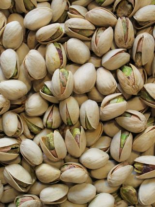 Pistacchi
