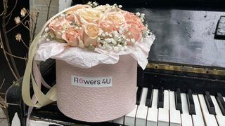 ჯუჯა ვარდები ყუთში