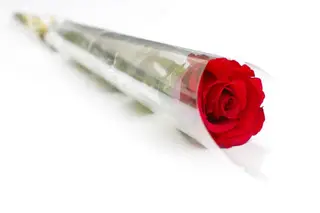 1 roses rouge 