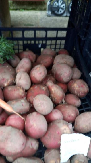 Patata Roja ecológica (1 kg.)