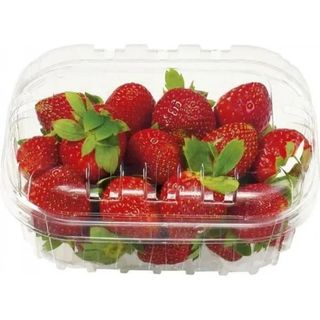 Fraise Ronde 250Gx8            