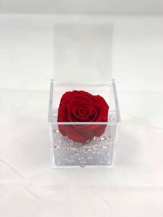 Rosa singola stabilizzata rossa