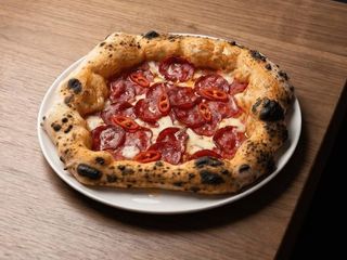 SALAMI PICCANTE (480g)