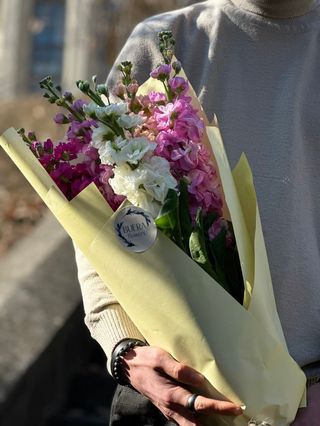 ფერადი შოპაი (5 ტოტი)