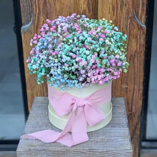 The Rainbow Box - Paniculata De Colores Que Roban Sonrisas
