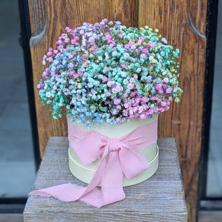 The Rainbow Box - Paniculata De Colores Que Roban Sonrisas