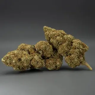 Flor De Cali Orange Gelatto Cbd Al 17%-2 Gramos