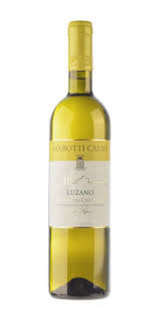 Verdicchio Dei Castelli Di Jesi Classico Superiore Doc - Marotti Campi