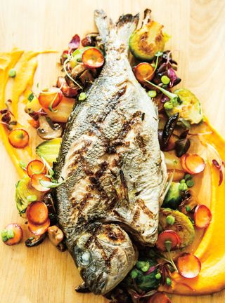 Dorade les Sablettes