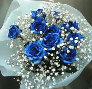 ჰოლანდიური ვარდები გიფსოფილა