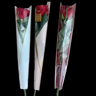 Rose rouge 