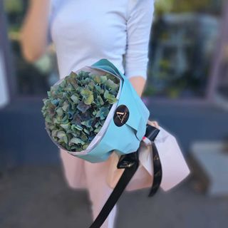 Hortensie Verde- albastru fir